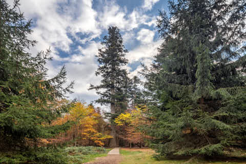 Gemeinde Bayerisch_Eisenstein Landkreis Regen Hans-Watzlik-Hain (Dirschl Johann) Deutschland REG